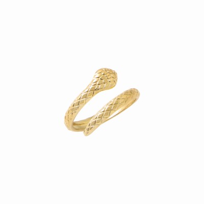 Δαχτυλίδι φίδι ρυθμιζόμενο σε χρυσό χρώμα από Ανοξείδωτο Ατσάλι 